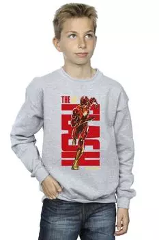 Толстовка Флэш Дэш DC Comics, серый