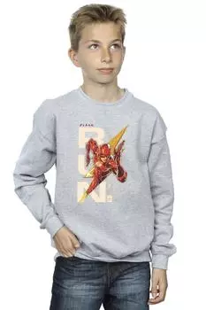 Толстовка Flash Run DC Comics, серый