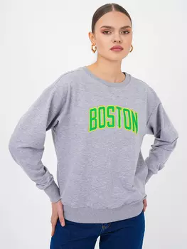 Толстовка Freshlions Pullover, серый