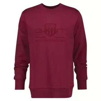 Толстовка Gant Tonal Shield Regular Fit, красный