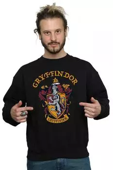 Толстовка Гриффиндора Harry Potter, черный