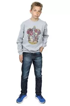 Толстовка Гриффиндора Harry Potter, серый