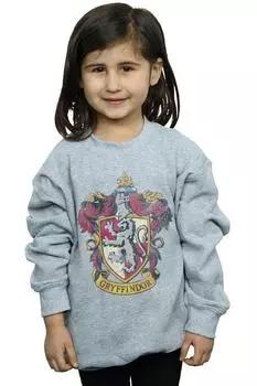 Толстовка Гриффиндора Harry Potter, серый