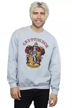 Толстовка Гриффиндора Harry Potter, серый