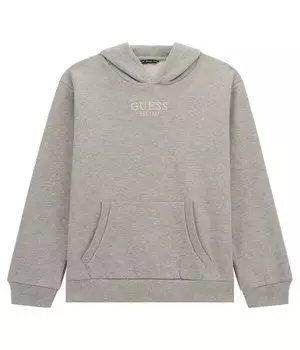 Толстовка Guess Regular Fit, серый