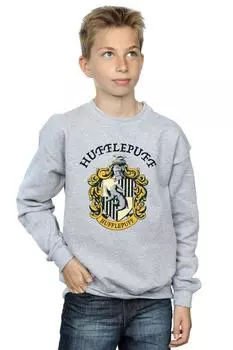 Толстовка Хаффлпаффа Harry Potter, серый