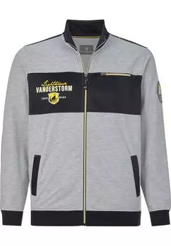 Толстовка HARDWIN JAN VANDERSTORM, серый