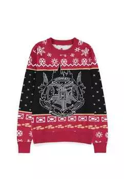 Толстовка Harry Potter Hoodie, разноцветный