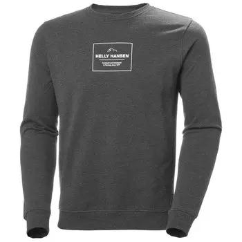 Толстовка Helly Hansen F2F Cotton, серый