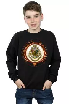Толстовка Хогвартс-Рейл Harry Potter, черный