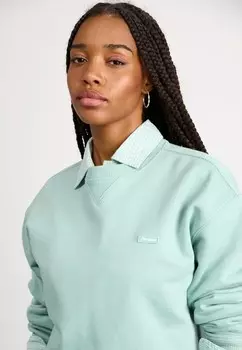 Толстовка ICON LOGO REPLACEMENT Dickies, бирюзовый