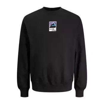 Толстовка Jack & Jones 12256507, черный