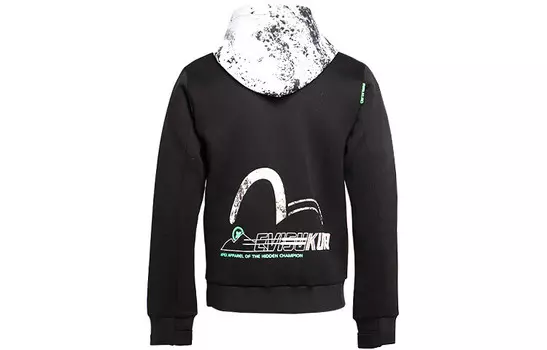 Толстовка мужская Evisu