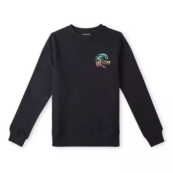 Толстовка Oneill Circle Surfer, черный