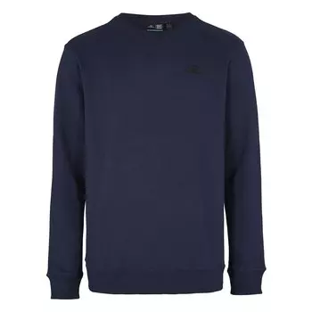 Толстовка Oneill Small Logo, синий