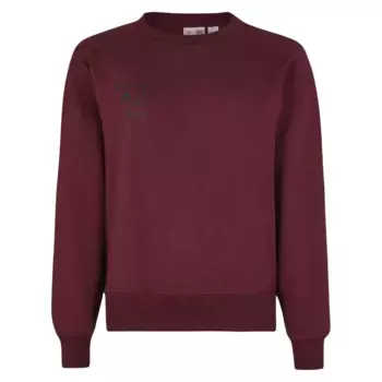 Толстовка Oneill Wow, красный