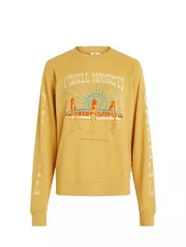 Толстовка ONEILL, желтый