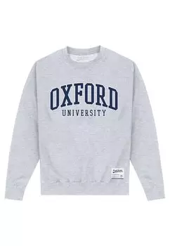 Толстовка Park Fields University Of Oxford Henry Tiger, цвет heather grey