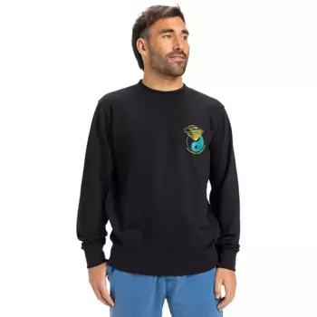 Толстовка Quiksilver Graphic Mix, черный