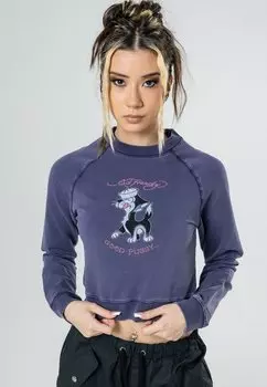 Толстовка с капюшоном Ed Hardy, синий