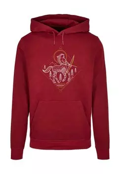 Толстовка с капюшоном HARRY POTTER CENTAUR LINE ART BASIC ABSOLUTE CULT, темно-красный
