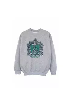 Толстовка Слизерина с потертостями Harry Potter, серый