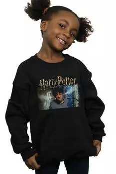 Толстовка Steam Ears Harry Potter, черный