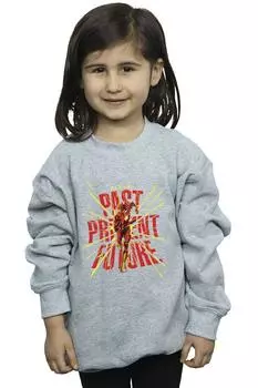 Толстовка The Flash Past Present Future DC Comics, серый