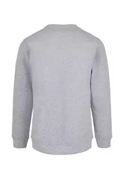 Толстовка TOM AND JERRY- BASEBALL CREWNECK ABSOLUTE CULT, светло-серый