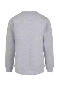 Толстовка TOM AND JERRY THE CHASE IS ON CREWNECK ABSOLUTE CULT, светло-серый