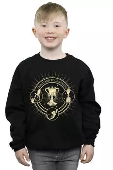 Толстовка Triwizard Seal Harry Potter, черный