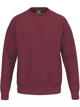 Толстовка Ts Sweatshirt erima, красный