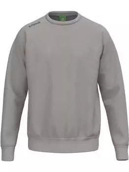 Толстовка Ts Sweatshirt erima, серый
