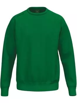 Толстовка Ts Sweatshirt erima, зеленый