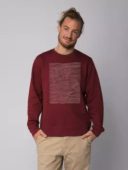 Толстовка wat? Apparel 3Dillusion, цвет weinrot