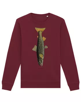 Толстовка wat? Apparel Forelle, цвет Weinrot