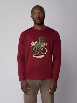 Толстовка wat? Apparel T Rex Fahrrad, цвет weinrot