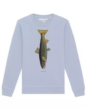 Толстовка Watapparel Forelle, светло-синий