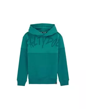 Толстовка WE Fashion, изумрудный/темно-зеленый