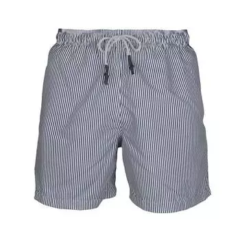 Тонкие плавки в синюю полоску STEAM Beachwear