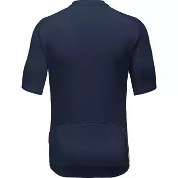 Торрент Джерси мужской GOREWEAR, синий