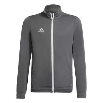 тренировочная куртка Entrada 22 ADIDAS, цвет grau