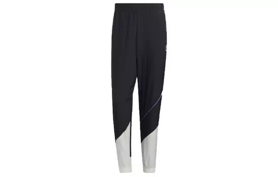 Трикотажные спортивные штаны мужские черные Adidas Neo, черный