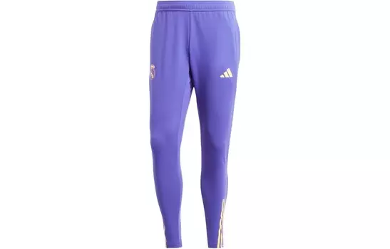 Трикотажные спортивные штаны Real Madrid мужские фиолетовые Adidas, синий