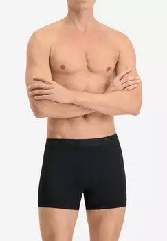 Трусики 6 PACK Puma, цвет black
