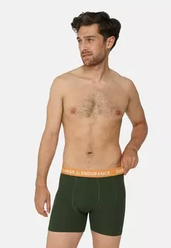 Трусики CLASSIC W FLY 6 PACK Danish Endurance, разноцветный
