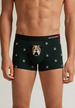 Трусики Intimissimi, темно-зеленый