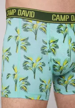 Трусы 2 PACK Camp David, зеленый