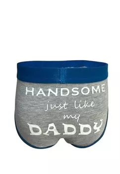 Трусы 2-PACK HANDSOME LIKE DADDY Mr Ukko, серый