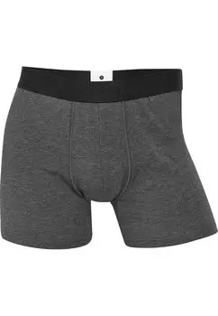 Трусы 2 PACK JBS, серый